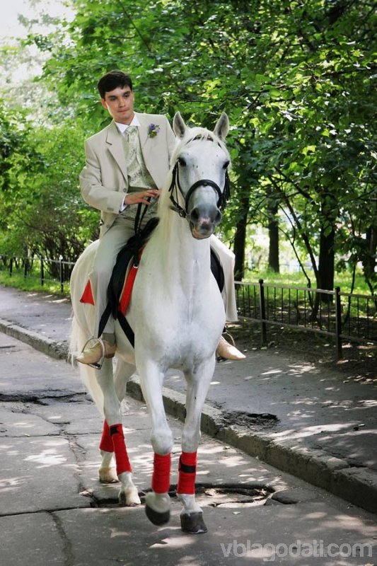 http://vblagodati.com/uploads/posts/2013-01/1359070754_prince_on_a_white_horse_03.jpg